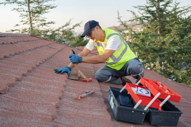 Best Roof Gutter Cleaning  in Mansfield, PA